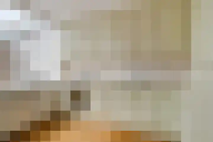 Haneven 36 Goirle thumbnail 12