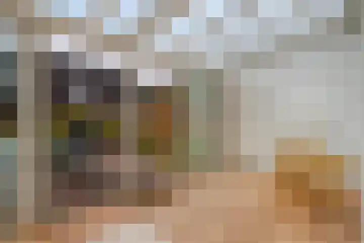 Haneven 36 Goirle thumbnail 14