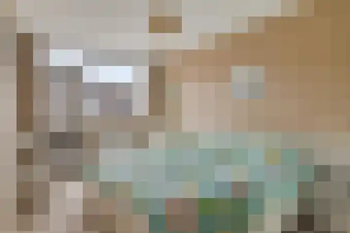 Haneven 36 Goirle thumbnail 17