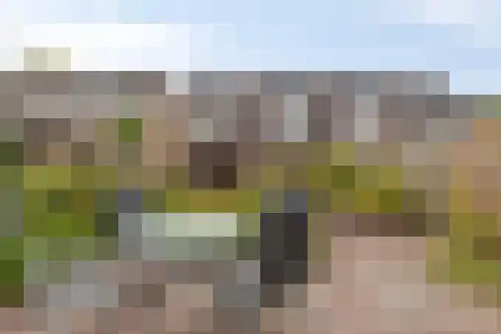 Haneven 36 Goirle thumbnail 28