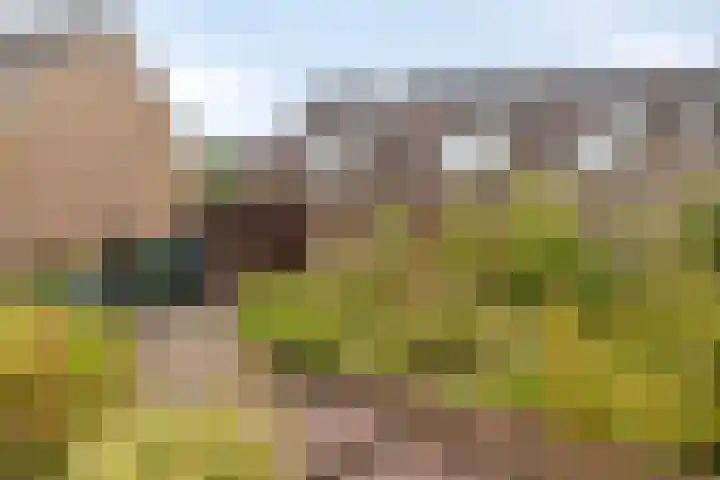 Haneven 36 Goirle thumbnail 30