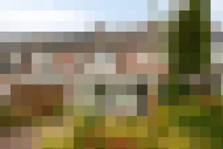 Haneven 36 Goirle thumbnail 31