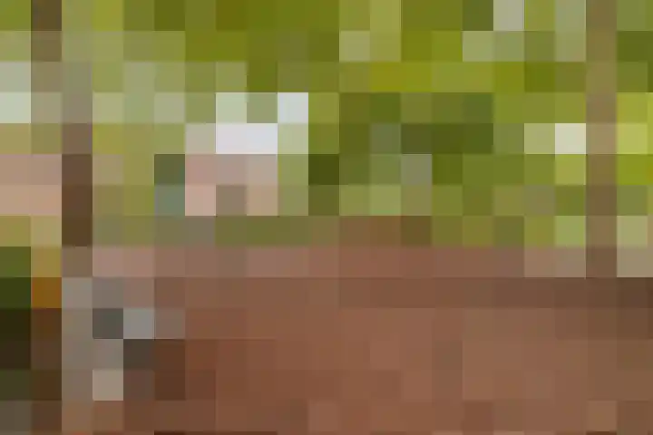Haneven 36 Goirle thumbnail 33
