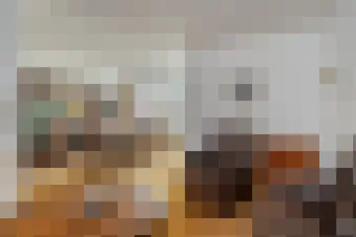 Haneven 36 Goirle thumbnail 8