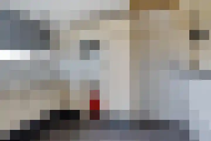 Hangerad 40 Rijssen thumbnail 18