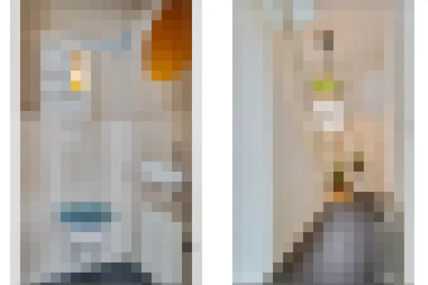 Hanikerweg 3 Lomm thumbnail 21