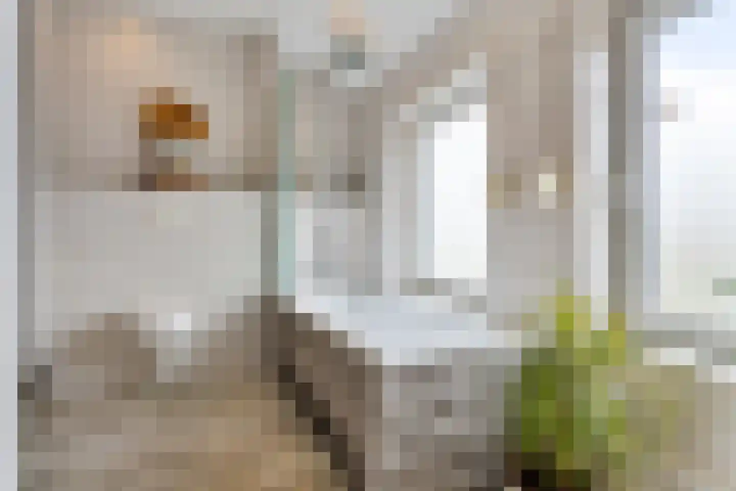 Hanikerweg 3 Lomm thumbnail 29