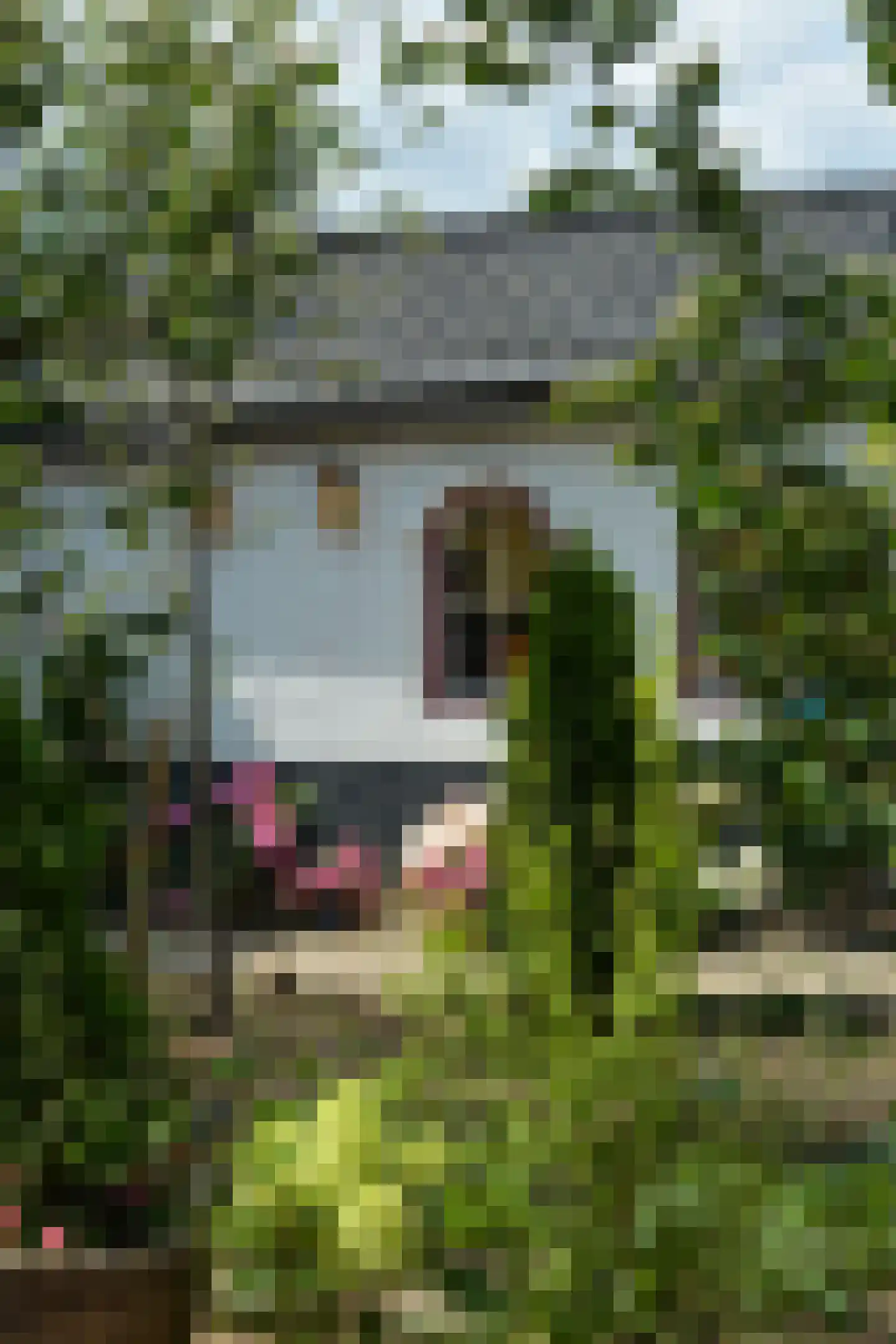 Hanikerweg 3 Lomm thumbnail 42