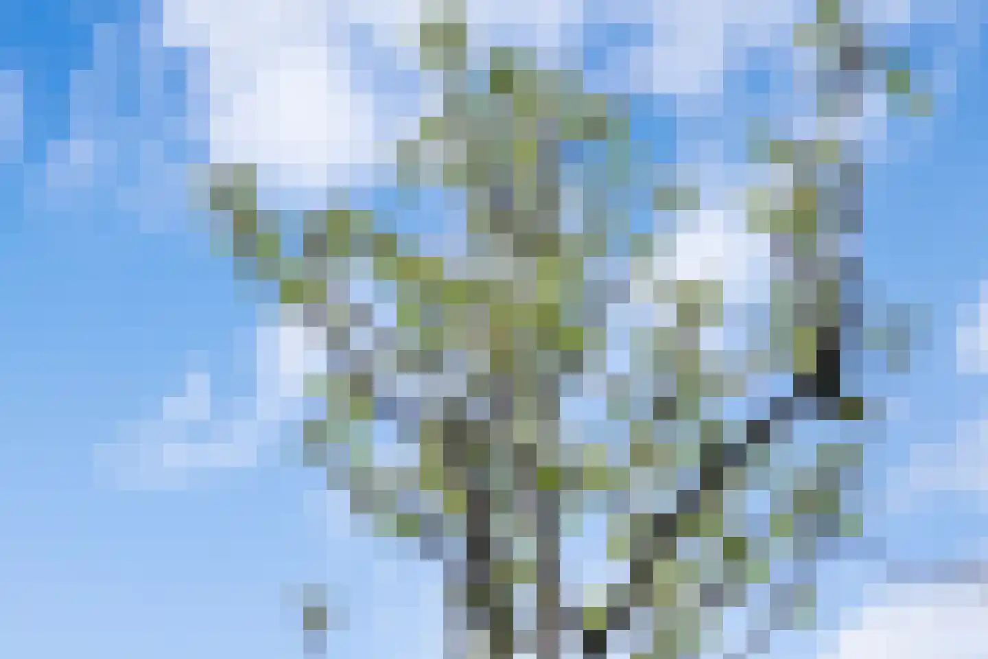 Hanikerweg 3 Lomm thumbnail 57