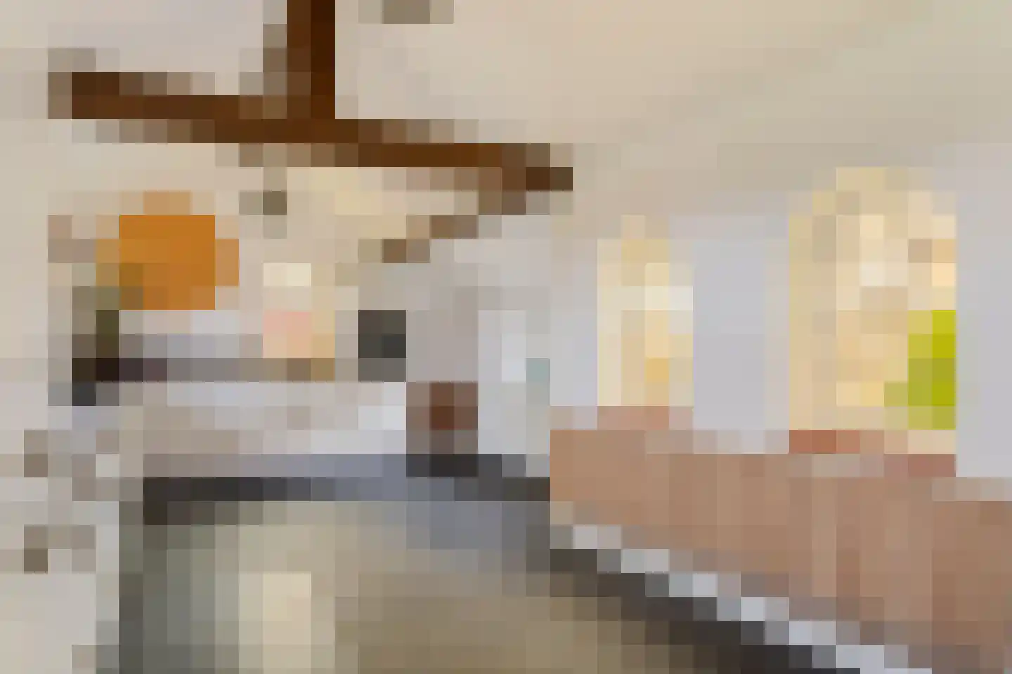 Hanikerweg 3 Lomm thumbnail 8