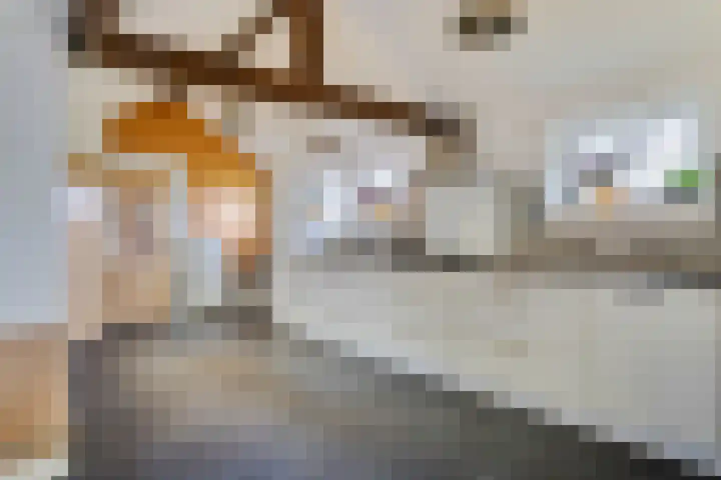 Hanikerweg 3 Lomm thumbnail 9