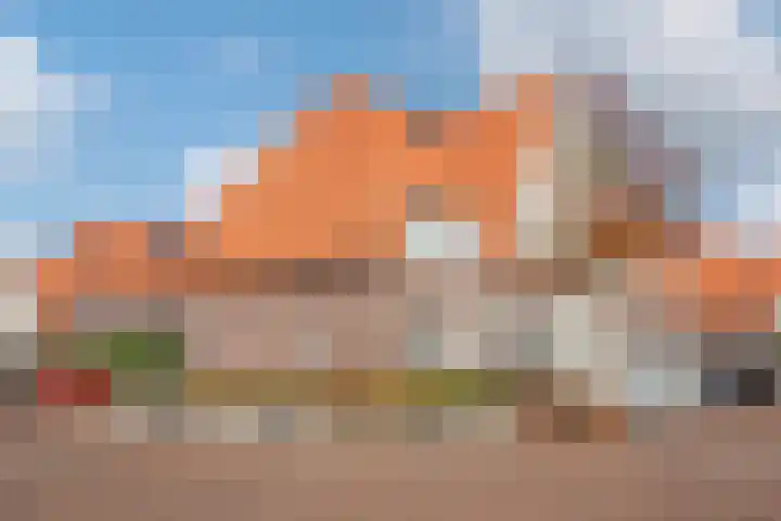 Hank 1 in Poeldijk