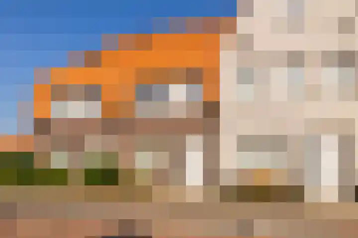 Hank 11 Poeldijk