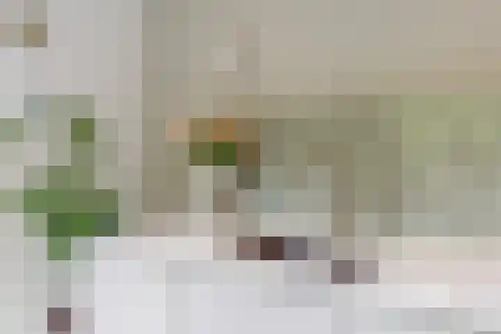 Hankweg 2 Renkum thumbnail 10