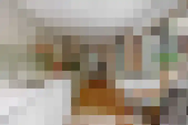 Hankweg 2 Renkum thumbnail 13