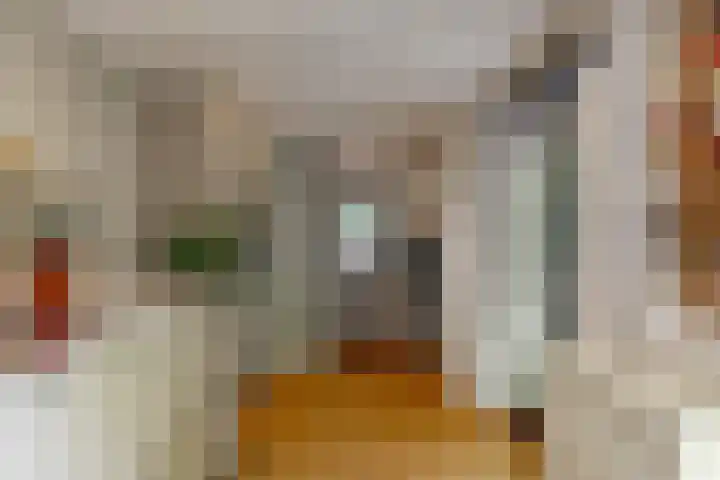 Hankweg 2 Renkum thumbnail 14