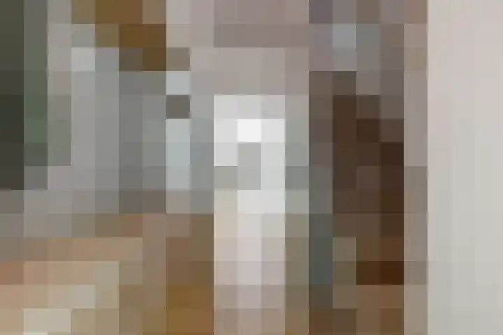 Hankweg 2 Renkum thumbnail 16