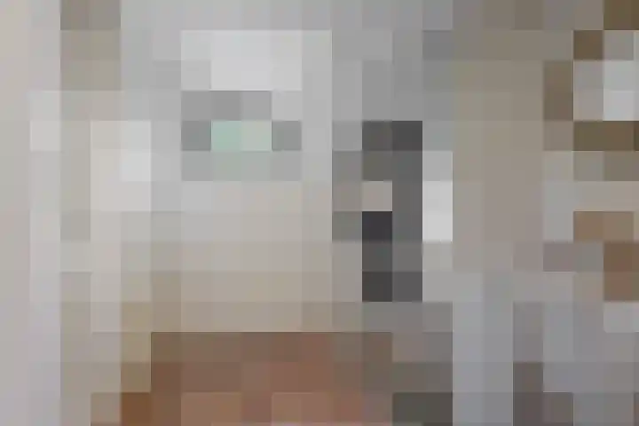 Hankweg 2 Renkum thumbnail 18