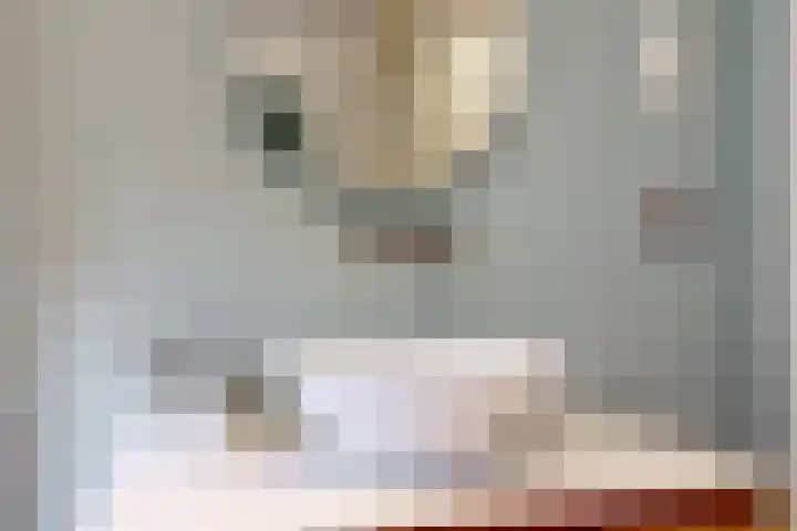 Hankweg 2 Renkum thumbnail 29
