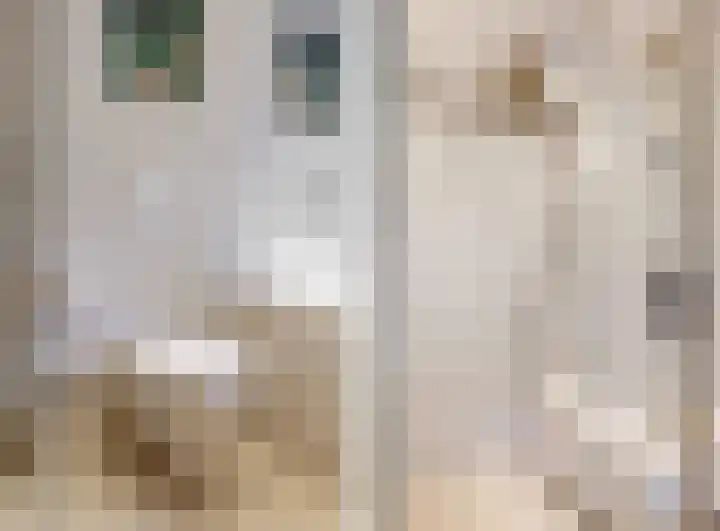 Hankweg 2 Renkum thumbnail 30