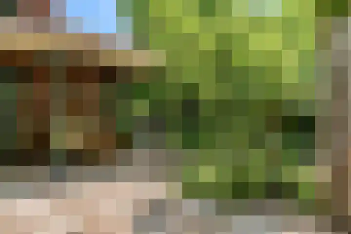 Hankweg 2 Renkum thumbnail 32