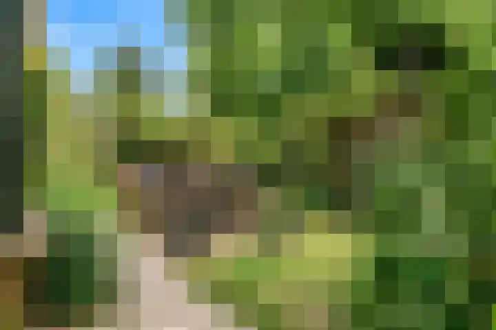Hankweg 2 Renkum thumbnail 38