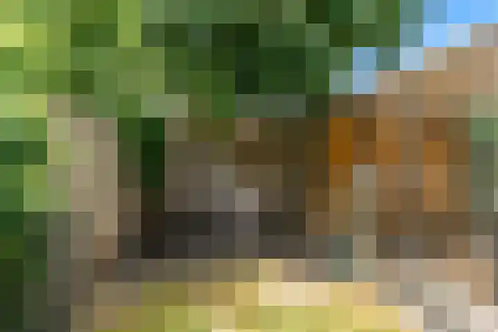 Hankweg 2 Renkum thumbnail 39