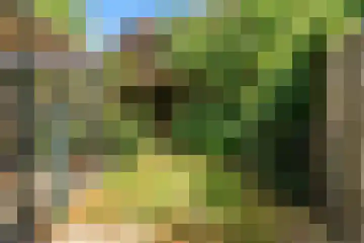 Hankweg 2 Renkum thumbnail 40