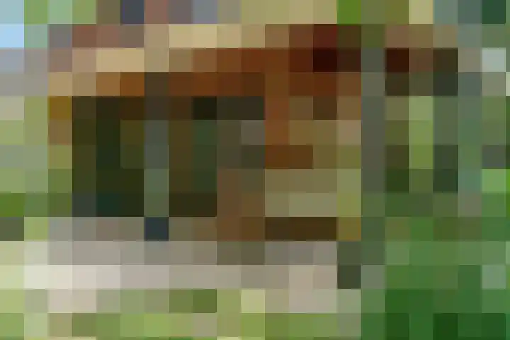 Hankweg 2 Renkum thumbnail 41