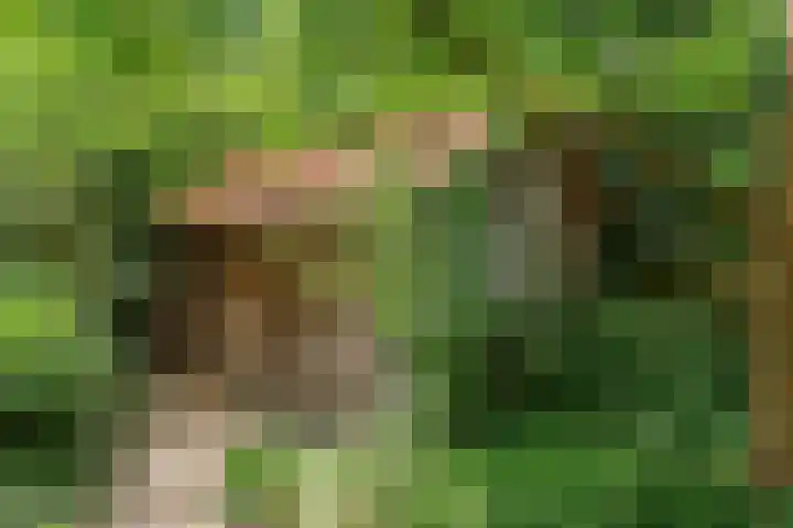 Hankweg 2 Renkum thumbnail 43
