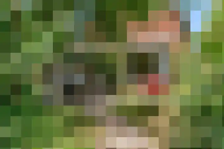Hankweg 2 Renkum thumbnail 45