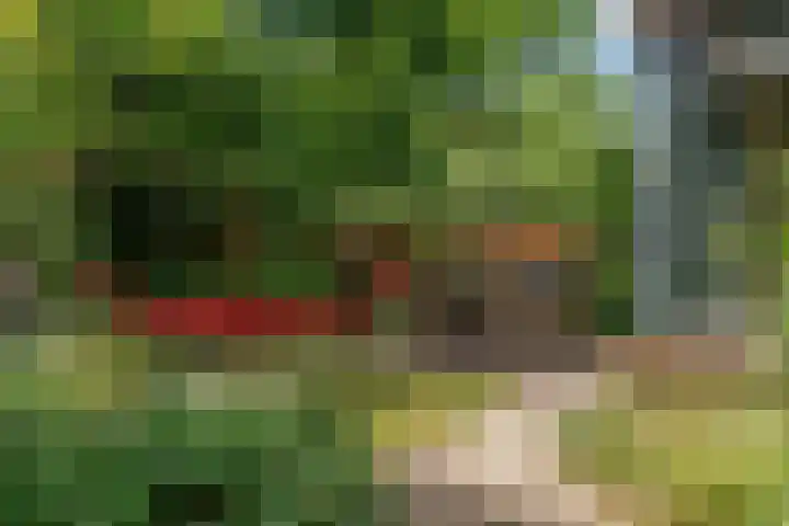 Hankweg 2 Renkum thumbnail 47