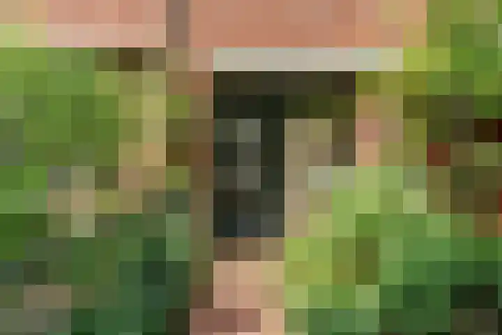 Hankweg 2 Renkum thumbnail 48
