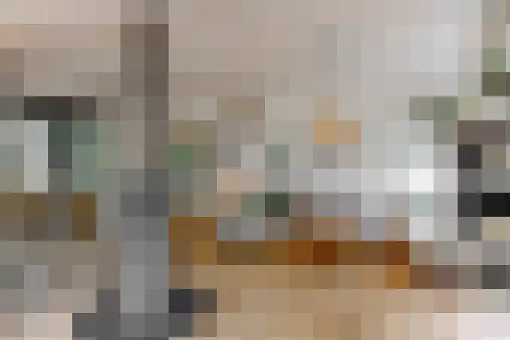 Hankweg 2 Renkum thumbnail 5