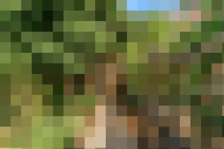Hankweg 2 Renkum thumbnail 50