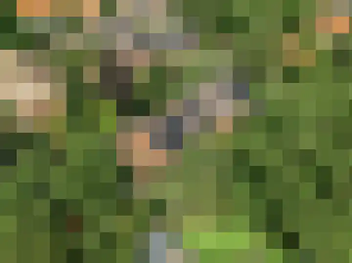 Hankweg 2 Renkum thumbnail 53