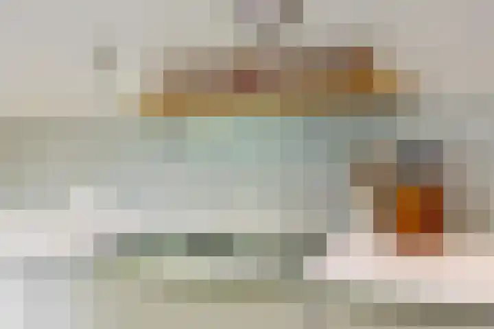 Hankweg 2 Renkum thumbnail 9