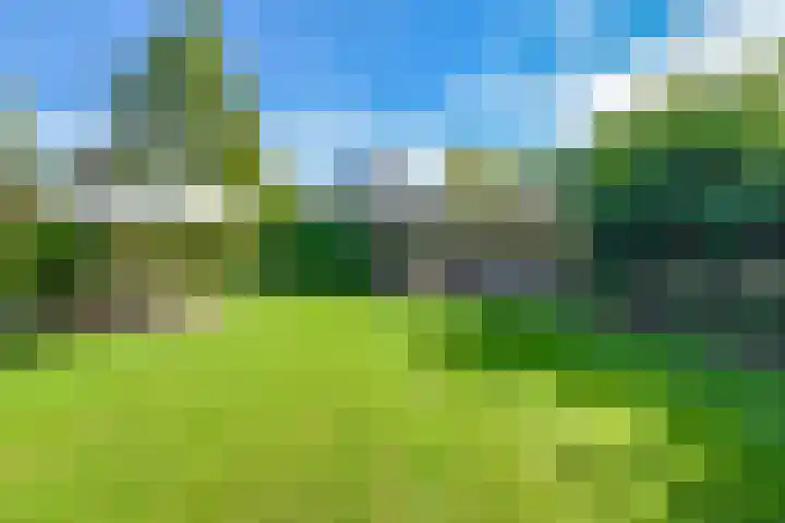 Hanrathsingel 9 Laren thumbnail 14