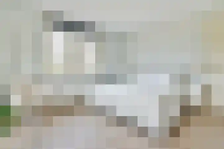 Hanrathsingel 9 Laren thumbnail 23