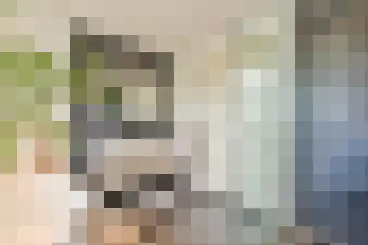 Hanrathsingel 9 Laren thumbnail 27