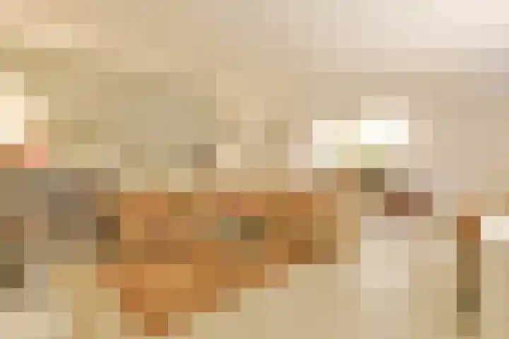 Hanrathsingel 9 Laren thumbnail 39
