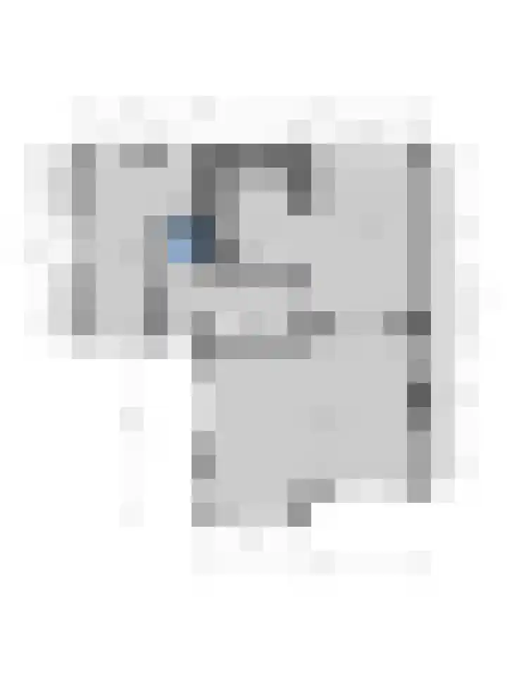 Hanrathsingel 9 Laren thumbnail 45
