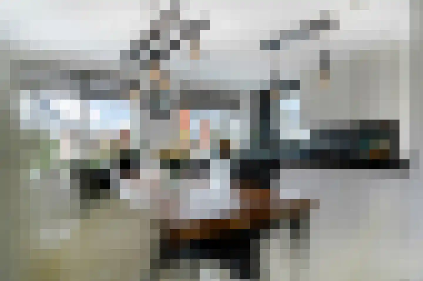 Hans Deinumstrjitte 17 Workum thumbnail 18