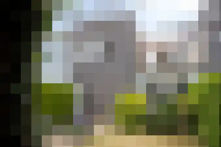 Hans Lodeizenstraat 64 Almere thumbnail 23