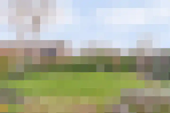 Hansenkamp 27 Roderwolde thumbnail 29