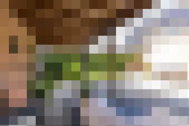 Hansenkamp 27 Roderwolde thumbnail 33