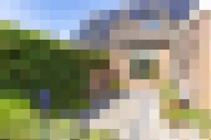 Hansenkamp 27 Roderwolde thumbnail 34