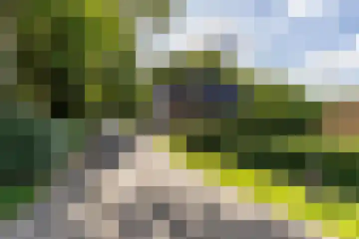 Hansenkamp 27 Roderwolde thumbnail 41
