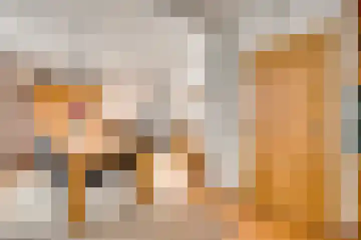 Hanssum 25 Neer thumbnail 10