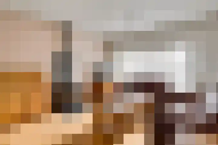 Hanssum 25 Neer thumbnail 13
